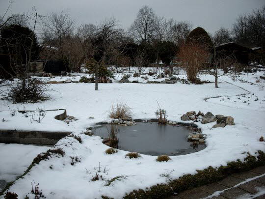 Winterpause
